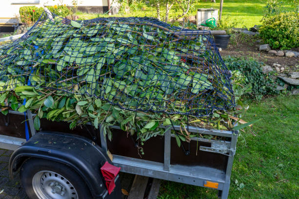 Best Yard Waste Removal  in La Joya, TX