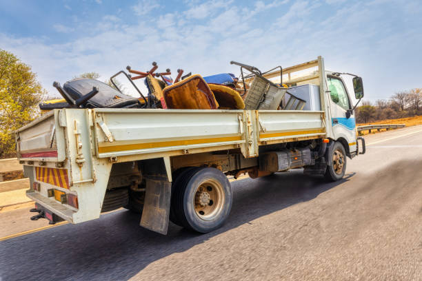 Shed Removal in La Joya, TX